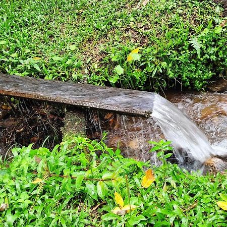 Casa A 14 Km De Goncalves Villa Dış mekan fotoğraf